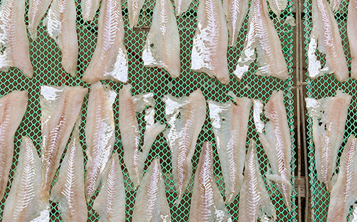 マルヒ母さんの美味いっタラ！フライ ＜プレーン味＞ 15個（60g×5個入 3箱） 北海道 鱈 タラ たらフライ タラフライ おかず お弁当 簡単 簡単調理 魚 たら フライ 白身 惣菜 揚げ物 _F4F-7806