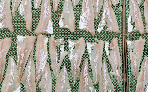 【期間限定！寄附額改定↓！】マルヒ母さんの美味いっタラ！フライ ＜レモン味＞ 15個（60g×5個入 3箱） 北海道 鱈 タラ たらフライ タラフライ おかず お弁当 簡単 簡単調理 魚 たら フライ 白身 惣菜 揚げ物 _F4F-7809