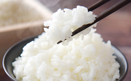 【期間限定！寄附額改定↓！】【3か月連続定期便】北海道 蘭越町産 ゆめぴりか 5kg 白米 北海道産 米 コメ こめ お米 白米 玄米 _F4F-7951