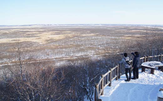 釧路湿原チョットのたび (普通車） 釧路湿原 釧路市 旅行 トラベル 空港 市内観光 観光 _F4F-7961