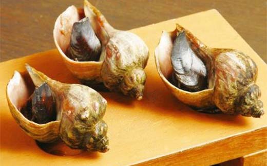 「炉ばた居酒屋はたご家」「炭焼炉端ちくぜん」で使える共通お食事券 9,000円分 クーポン チケット 飲食 利用券 _F4F-8039