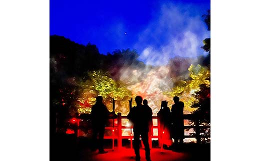 【期間限定！寄附額改定↓！】阿寒湖の森ナイトウォーク「KAMUY LUMINA (カムイルミナ)」入場券 大人2枚 体験 アクティビティ プロジェクションマッピング デジタル体験 アイヌ 文化 自然 森林浴 美容 アウトドア 自然 エンタメ 旅行 トラベル チケット アート 芸術 異世界北海道 釧路市 _F4F-8584