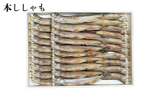 【3か月連続定期便】 トキシラズ 紅鮭 本ししゃも 焼き魚定期便 小分け 冷凍 北海道産 魚介 海鮮 魚 鮭 紅鮭 さけ サケ しゃけ シャケ 時鮭 時知らず ときしらず ししゃも ご飯のお供 ご飯 米 北海道 釧路市 _F4F-9214