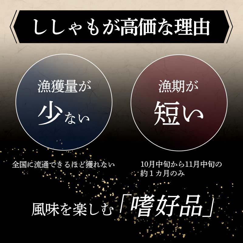 【期間限定！寄附額改定↓！】本場くしろ産 ししゃもメス40尾入り！ 本ししゃも 魚 ししゃも 魚好きのメス プチプチたまごのメス 魚介 グルメ シシャモ 北海道産 国産 魚 魚介 海の幸 _F5F-0137