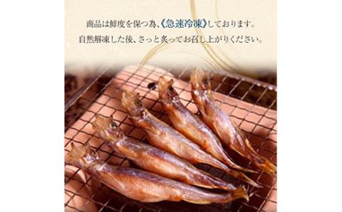 【オスメス食べ比べ】北海道産・ししゃもセット ふるさと納税 ししゃも _F4F-3597