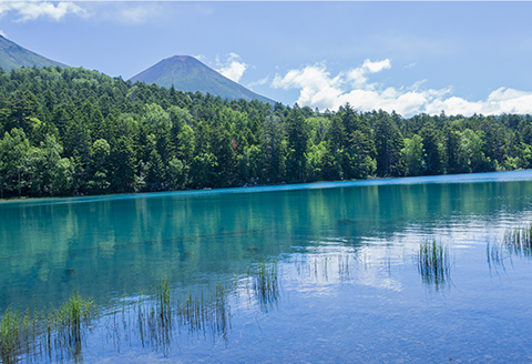 北海道釧路市（釧路エリア）ANAトラベラーズホテル割引クーポン（15,000点）_F4F-1693