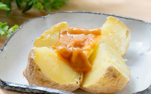 いかの塩辛 100g 4個セット 手作り イカ いか 塩辛 手づくり 小分け 冷凍 海産物 イカの塩辛 ご飯 おかず おつまみ 酒の肴 酒 _F4F-5084