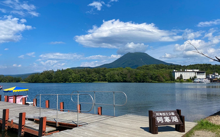 【期間限定！寄附額改定↓！】北海道釧路産 阿寒湖わかさぎ佃煮 250g×2 ふるさと納税 魚 F4F-1064