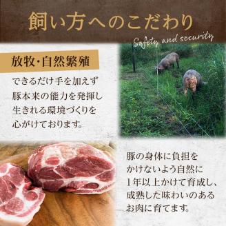 【放牧豚】肩ロースかたまり 1.5kg以上 肉 豚肉 ロース ブロック肉 北海道 ローストポーク _F4F-2235