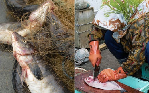 釧路産・開き真ホッケ5枚 魚 魚介 海産物 干物 おかず 肴 ふるさと納税 ほっけ _F4F-8606