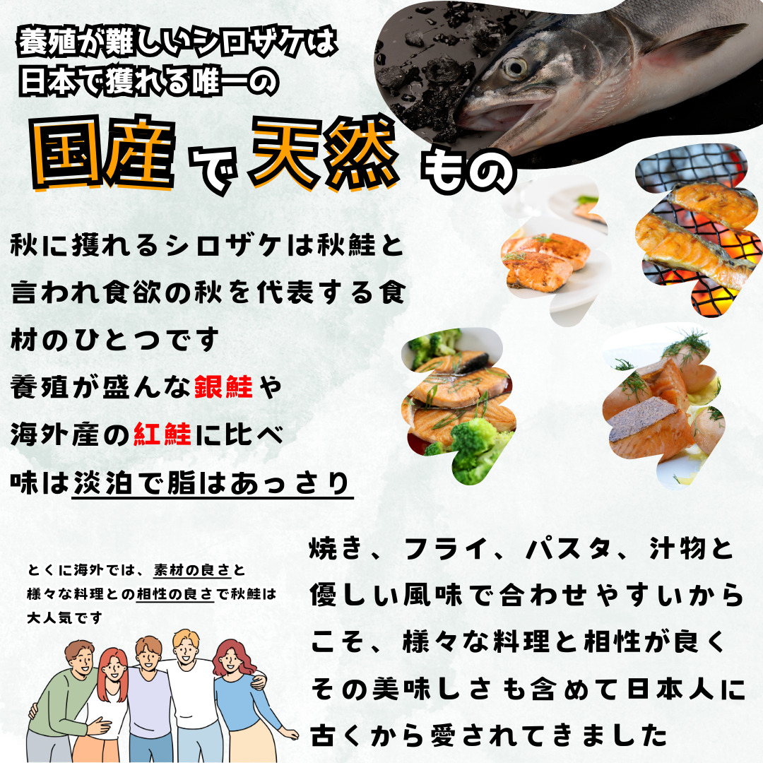 【釧路加工】マルア阿部商店 天然鮭 氷塩熟成「カマ」食べ比べセット 秋鮭 鮭 サケ 紅鮭 さけ 個包装 シャケ 切り身 魚 海鮮 セット _F4F-7919