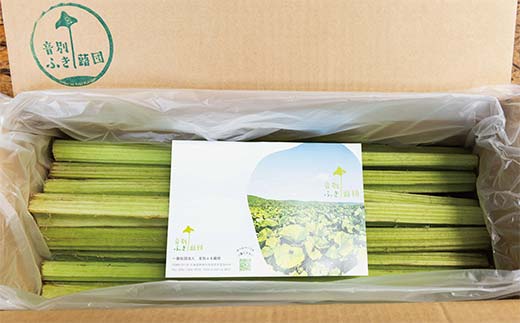 【期間限定！寄附額改定↓！】【6月中に順次発送】音蕗(おんぶき) 2kg 無農薬 蕗 フキ ふき 煮しめ 和食 おかず ご飯のお供 音別産生蕗 北海道産 北海道 _F4F-4562