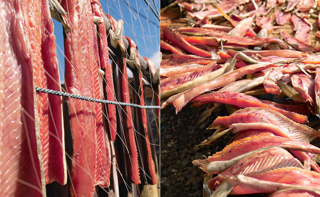 鮭（北海道産）とばスライス2.0kg ふるさと納税 鮭とば 珍味 F4F-5510