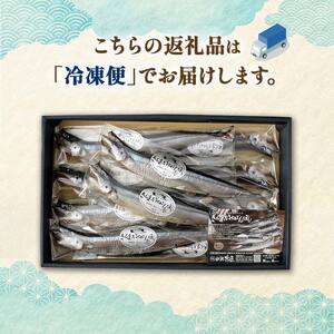 北海道産 さんま のいちばんぼし★ 10尾 干しさんま サンマ 秋刀魚 干物 北海道 海の幸 海鮮 _F4F-9186