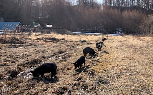 【期間限定！寄附額改定↓！】【放牧豚】小間切れ 300g×2 計600g 肉 豚肉 冷凍 豚 お肉 焼肉 焼き肉 薄切り スライス 北海道 ジビエ ブタ 小分け 真空 ギフト おかず _F4F-8451