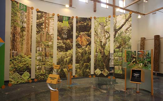 阿寒湖旅情の旅 (普通車） 釧路湿原 釧路市 旅行 トラベル 空港 市内観光 観光 _F4F-7966