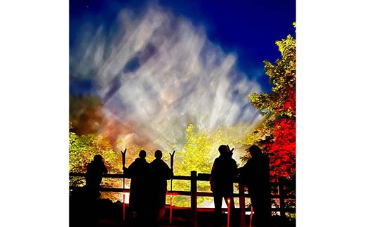 【期間限定！寄附額改定↓！】阿寒湖の森ナイトウォーク「KAMUY LUMINA (カムイルミナ)」入場券 大人1枚 体験 アクティビティ プロジェクションマッピング デジタル体験 アイヌ 文化 自然 森林浴 美容 アウトドア 自然 エンタメ 旅行 トラベル チケット アート 芸術 異世界北海道 釧路市 _F4F-8583