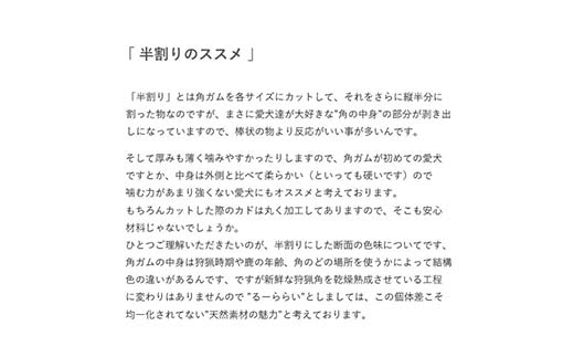 エゾ鹿の角ガム 12cm 小型犬用 半割り 2個 北海道産 国産 無添加 犬用ガム 天然鹿角 長持ち デンタルケア ペット おやつ _F5F-0057