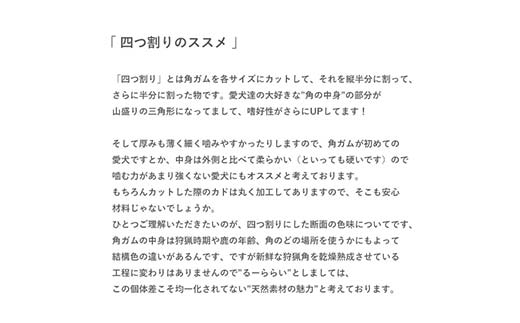 エゾ鹿の角ガム 12cm 小型犬用 四つ割り 2個 北海道産 国産 無添加 犬用ガム 天然鹿角 長持ち デンタルケア ペット おやつ _F5F-0068
