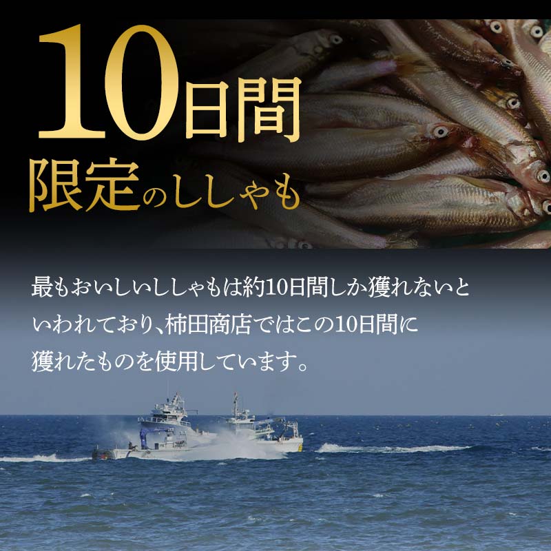 【期間限定！寄附額改定↓！】本場くしろ産 ししゃもメス30尾入り！ 本ししゃも 魚 ししゃも 魚好きのメス プチプチたまごのメス 魚介 グルメ シシャモ 北海道産 国産 魚 魚介 海の幸 _F5F-0136