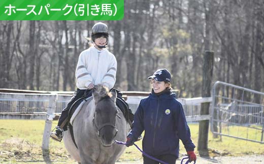 ★山花温泉リフレ共通利用券500円×10枚★ 北海道釧路市 天然温泉 露天風呂 宿泊 地場産 料理 地産地消 乗馬 ホーストレッキング 日帰り入浴 レストラン ランチ 観光 道東 釧路空港 釧路湿原 丹頂鶴 バリアフリー _F5F-0198
