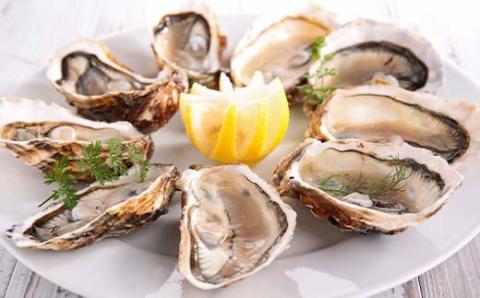 釧路管内産！殻付き活牡蠣【特大】10個 _F4F-2990