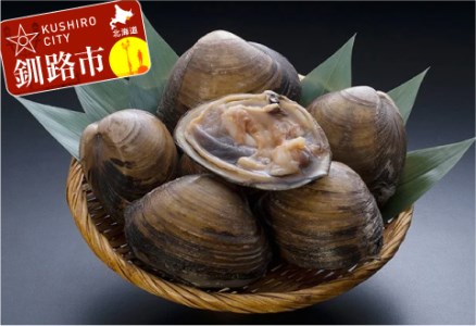 【天然!!!】活北寄貝2.0kg前後 ふるさと納税 貝 F4F-0387