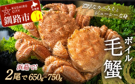 ボイル毛がに（浜茹で急速冷凍）2尾入 （2尾で650～750g） ふるさと納税 かに 蟹 F4F-0435