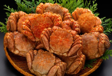 北海道産・ボイル毛がに10尾セット（7.0kg前後） ふるさと納税 かに 蟹 F4F-0461