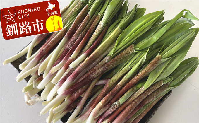 【期間限定！寄附額改定↓！】釧路産・天然 鮮度そのまま行者にんにく 250g×2 _F4F-0539