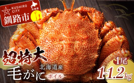 【期間限定！寄附額改定↓！】超特大級毛がに1.0kg～1.2kg×1尾 ふるさと納税 蟹 F4F-0690