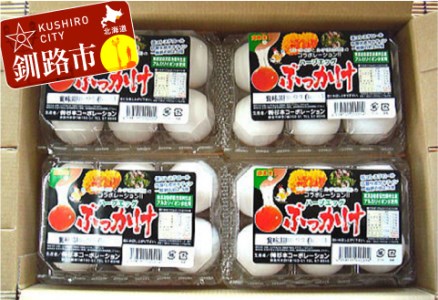 無添加ハーブエッグぶっかけ究極のTkg産みたて新鮮タマゴ ふるさと納税 卵 F4F-0797