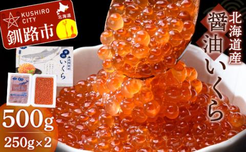 北海道産醤油いくら 500g ふるさと納税 いくら 北海道産 いくら 小分け 250g x2 いくら醤油漬 海産 魚卵 _F4F-1644