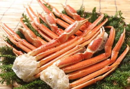 ズワイセクション1.7kg ふるさと納税 蟹 _F4F-1834