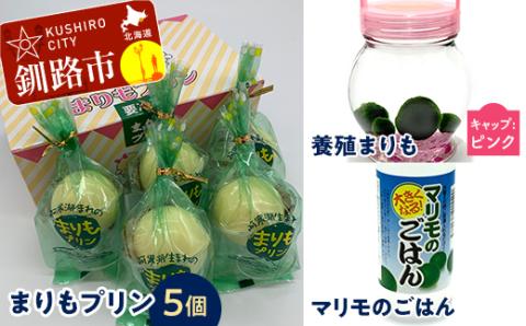 【期間限定！寄附額改定↓！】阿寒湖銘菓まりもプリン5個入と養殖まりもセット（ピンク） 北海道 釧路 ふるさと納税 養殖まりも 飼育 プリン カスタード スイーツ 菓子 _F4F-1862