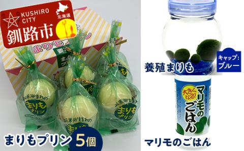 【期間限定！寄附額改定↓！】阿寒湖銘菓まりもプリン5個入と養殖まりもセット（ブルー） 北海道 釧路 ふるさと納税 養殖まりも 飼育 プリン カスタード スイーツ 菓子 _F4F-1863