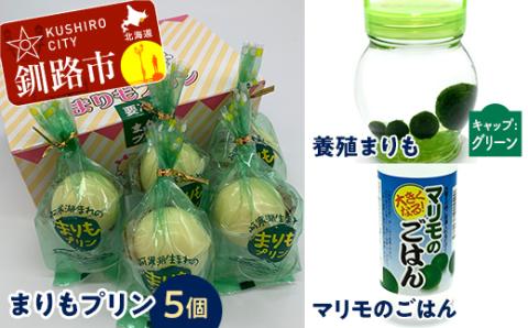 【期間限定！寄附額改定↓！】阿寒湖銘菓まりもプリン5個入と養殖まりもセット（グリーン） 北海道 釧路 ふるさと納税 養殖まりも 飼育 プリン カスタード スイーツ 菓子 _F4F-1864