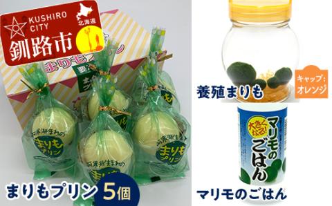 【期間限定！寄附額改定↓！】阿寒湖銘菓まりもプリン5個入と養殖まりもセット（オレンジ） 北海道 釧路 ふるさと納税 養殖まりも 飼育 プリン カスタード スイーツ 菓子 _F4F-1865