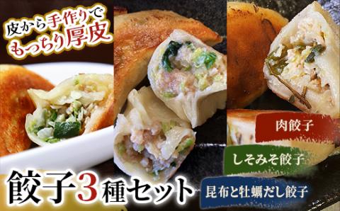 肉餃子・しそみそ餃子・昆布と牡蠣の旨味だし餃子 _F4F-2515