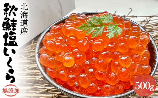 【期間限定！寄附額改定↓！】【無添加】北海道産 秋鮭 塩いくら500g いくら イクラ 鮭いくら 鮭イクラ 鮭 魚卵 魚 魚介 小分け 海鮮 北海道 F4F-2613