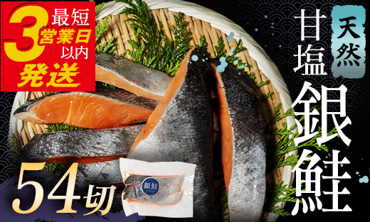 【期間限定！寄附額改定↓！】銀鮭 3切×18ハ?ック 計54切れ 朝ごはんやお弁当に 銀鮭 54切れ 真空保存 甘塩 天然 銀鮭 鮭 しゃけ サケ さけ ご飯のお供 朝食 真空 朝食 お弁当 おかず 小分け 通常発送 F4F-2856