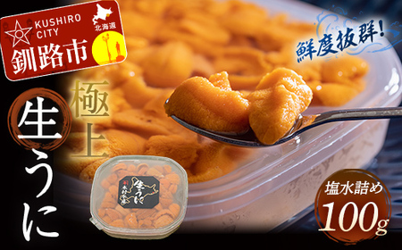 【鮮度抜群！極上生ウニ】生うに塩水詰め100g ふるさと納税 うに F4F-3208
