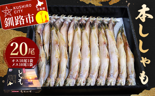 本ししゃも20尾 (オス10尾×1袋、メス10尾×1袋) シシャモ ししゃも 本ししゃも 北海道産 国産 魚 魚介 _F4F-5548