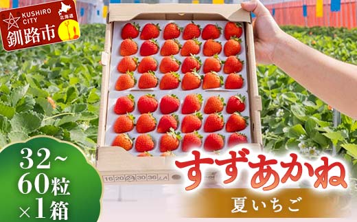 先行予約!【2026年6月末から順次発送】すずあかね 32～60粒×1箱 夏いちご 贈答用 イチゴ 夏イチゴ 果物 苺 いちご 夏 スィーツ ケーキ フルーツ 北海道 _F5F-0095