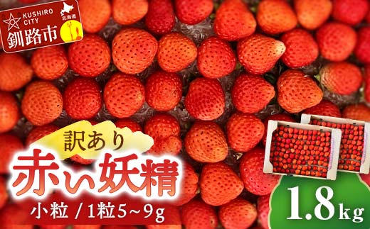 【期間限定！寄附額改定↓！】【 訳あり 】赤い妖精 1.8kg(小粒 1粒5～9g) 夏いちご 規格外にて訳あり イチゴ 夏イチゴ 果物 苺 いちご 夏 スィーツ ケーキ フルーツ 北海道 規格外 _F4F-4624