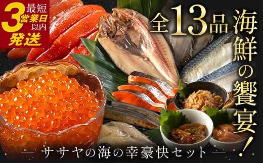 まるごと堪能！新物 北海道産 ササヤの『海の幸豪快セット』 全13品 海の幸 いくら たらこ 明太子 鮭 ほっけ かれい いかの塩辛 さば 銀だら さんま _F4F-8922