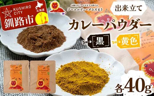 出来立てカレーパウダー 黒 黄色 各40g ローストパウダー イエローパウダー 本格的 スパイス 簡単 調味料 調理 おかず 本格 保存料不使用 化学調味料不使用 添加物不使用 _F4F-5154