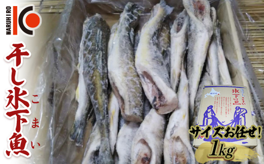 干し氷下魚(サイズお任せ)1kg こまい コマイ 魚 白身魚 おつまみ 肴 おかず _F4F-5165
