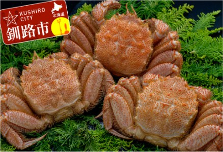 北海道産 ボイル毛蟹 3尾 1.0kg ふるさと納税 かに 蟹 F4F-5332