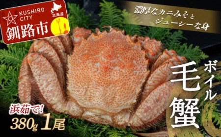 【期間限定！寄附額改定↓！】【浜茹で！】ボイル毛ガニ380g（冷凍）×1尾 毛がに カニ F4F-5338
